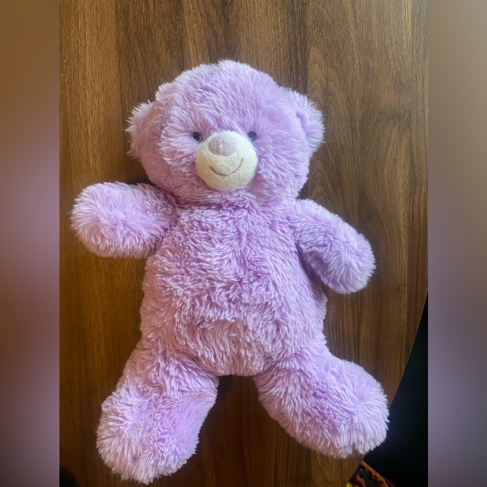 Purple Teddy Bear